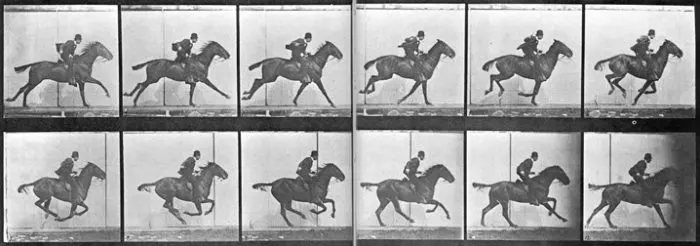 Estudios del movimiento 1 Muybridge caballos galopando