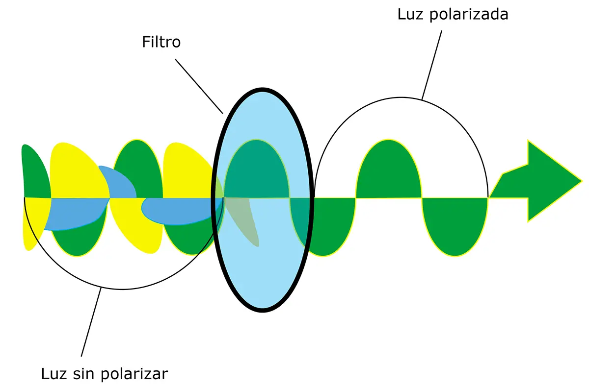 filtro-polarizador filtro polarizador